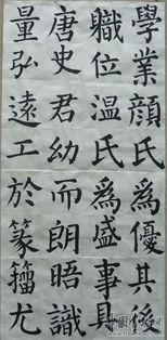 书法视频始,视频解析传统艺术魅力