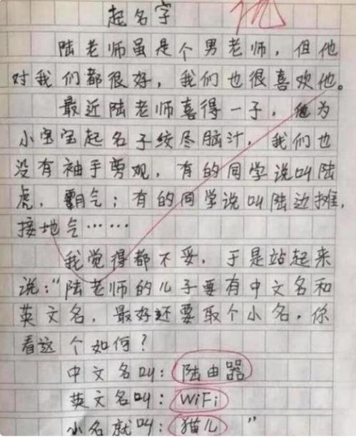 看视频写作文,探寻故事背后的奥秘