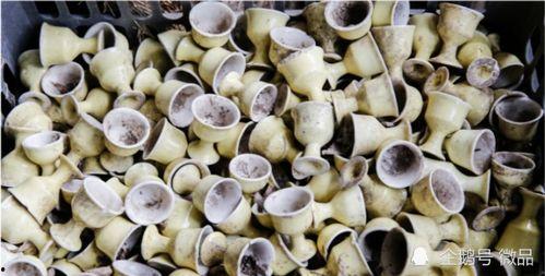 梳虱子视频,梳虱子视频教程