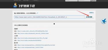 下载网页中的视频软件