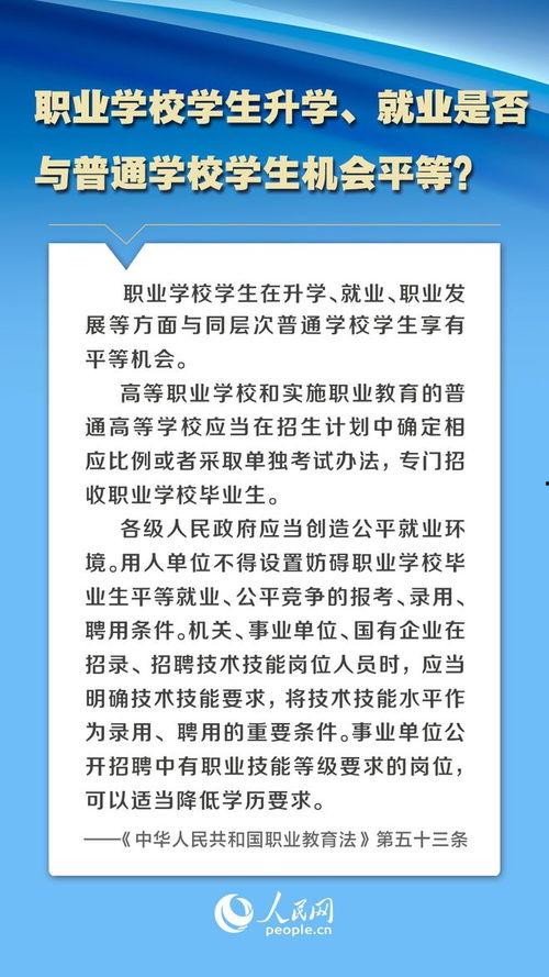 教育法视频,塑造未来教育的基石