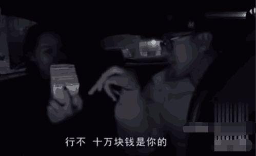 拜金女的视频,物质追求背后的心理真相