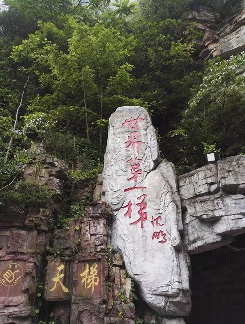 白龙天梯视频,探寻神秘古道的壮丽奇观