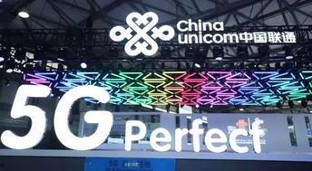 上海三打一董大师视频,揭秘牌技巅峰对决