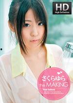 欧美人性生活视频,真实性与禁忌的碰撞